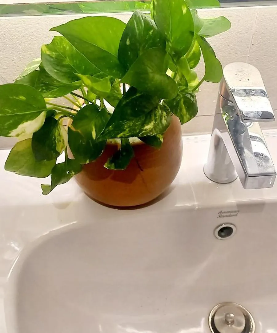 콜롬보 Trizen Oceanview 아파트