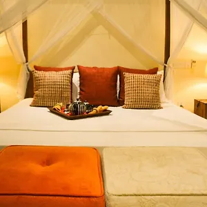 Urban Bliss Bed & Breakfast